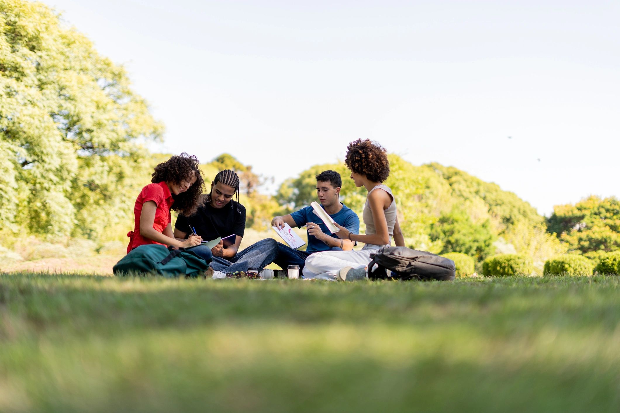 Friends studying in a public park